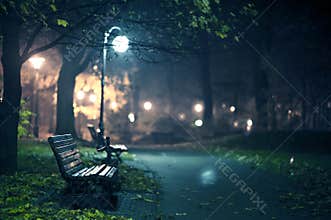 A Night in the Park