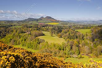 Scottish borders