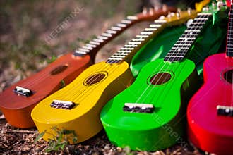 Hawaiian instrument ukulele