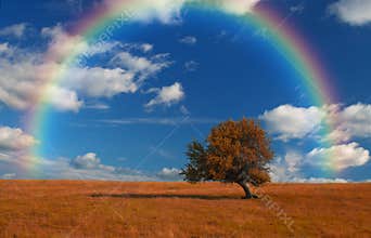 Wallpaper landscape