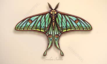 Elizabethan butterfly. Realistic illustration of the Graellsia Isabelae butterfly, with emerald green and turquoise wings
