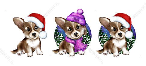 Cute watercolor Corgi dog Christmas