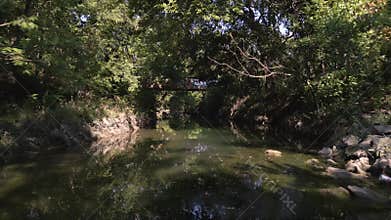 Cottonwood Creek in the dark woods moving towards the graffiti wall in Allen, Texas