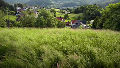 Idyllic village in a green valley