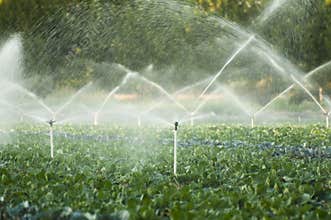 Irrigation systems