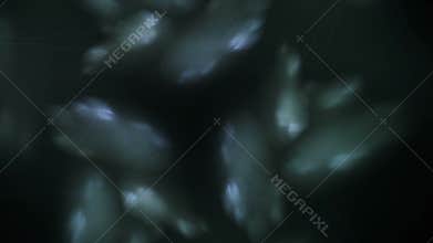 Abstract Motion Graphic with fluid particle