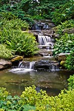 Peaceful waterfall