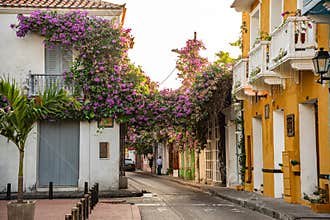 Colorful street of Cartagena with flowers and recognizable architecture