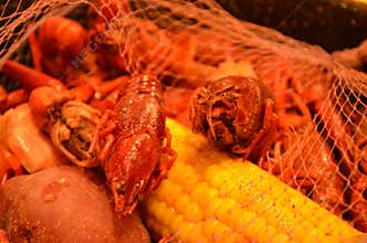 Crawfish Boil with Corn, Potatoes, and Shrimp in Mesh Bag
