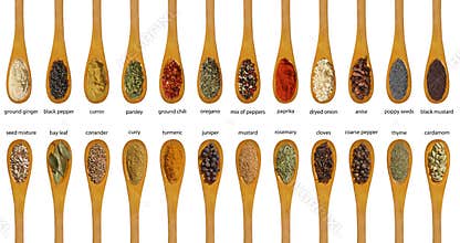 Different spices isolated on white background.