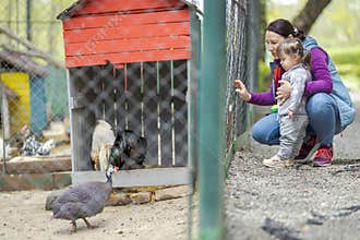 Mom with little girl looking through the fence at the animals at the farm