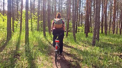 Young woman cycling in the forest