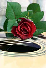 Love of music 3
