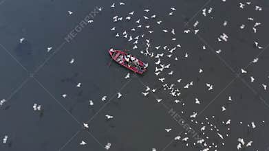 Aerial video of people feeding birds on a fishing boat along the Yamuna river in New Delhi, India.