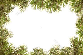 Border, frame from christmas tree branches
