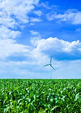 Clean energy
