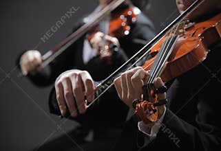 Classical music. Violinists in concert