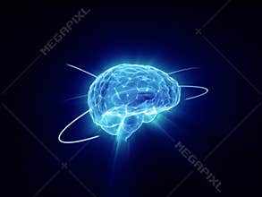 Brain activity