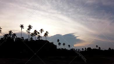 Hyperlapse Sunset Nature with Silhouette of Coconut Trees and dark landscape
