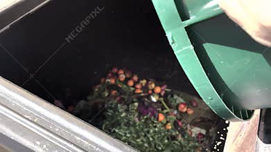 People dumping produce food in a compost dumpster old spoiled food