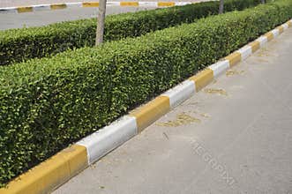 stone borders painted in white and yellow along the road for cars