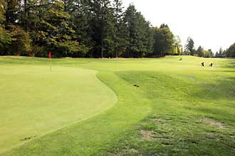Golf Course - Luxury International Standard