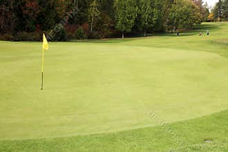Golf Course - Luxury International Standard