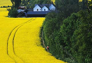 Farm