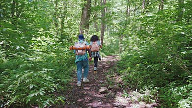 hiking in forest in summer day, back view of group of black male and female tourists walking on path