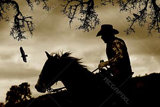 A cowboy, horse and birds in sepia.