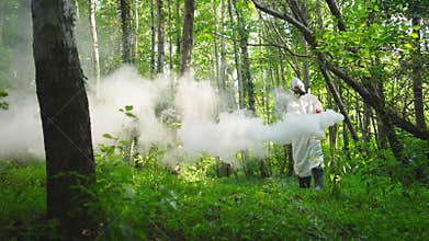 extermination of mosquitoes the use of fumigators and pesticides in the forest