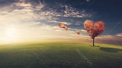 Leaves blowing off heart shaped tree