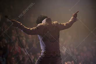 Emerald Elvis/The Final Curtain 2