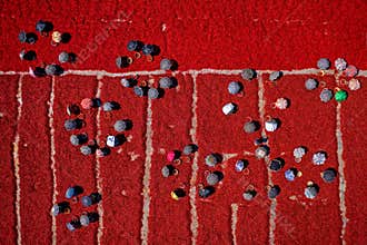Collecting red chilies