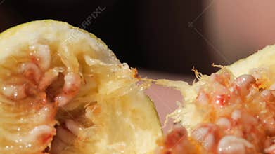 Figs in the hands of a man broken into two parts against the background of the sea. Live a healthy life. Be H3althy