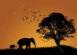 African Elephants Landscape