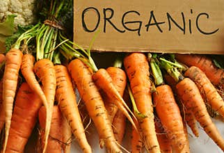 Organic , real vegetables : carrots