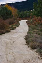 road mountain landscape scenic cloud nature outdoor tree autumn