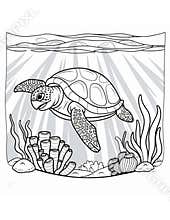 coloring book for kids sea turtle swimming in water