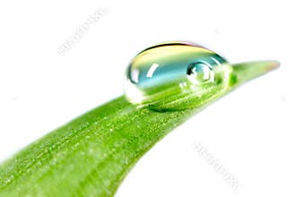 Water drop