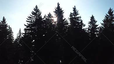 Black Forest, Germany. Drone video
