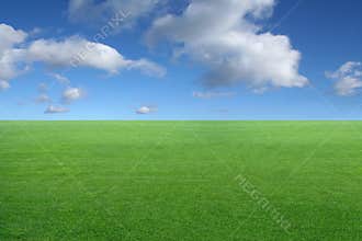 Green grass and blue sky