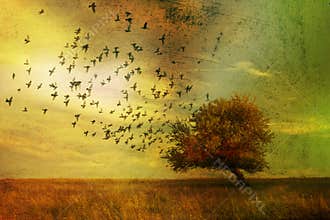 Fantasy landscape