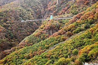 A glass trestle is located in the mountains with charming autumn scenery