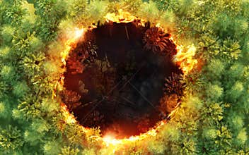 Climate Change And Forest Fires
