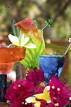 Tropical Drinks