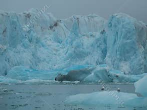 The 14th of July Glacier is a 16km long glacier in the northwest of Spitsbergen. It reaches more than 30 meters above sea level.