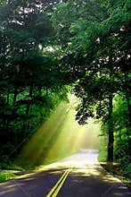 Sunlight on country road