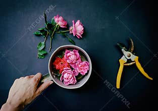 Cut rose flowers from garden in pot from top view