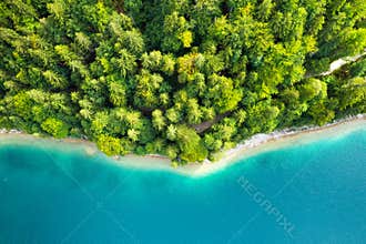 Coastline of the lake with tall coniferous trees and turquoise water